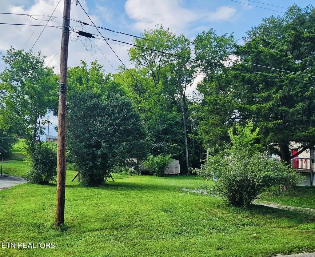 Mayberry St, Harriman