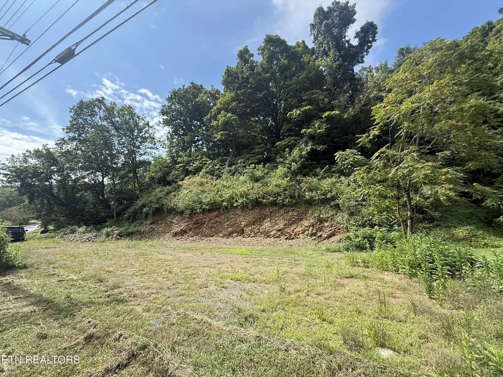 517 Tuggle Hill Rd, Rogersville
