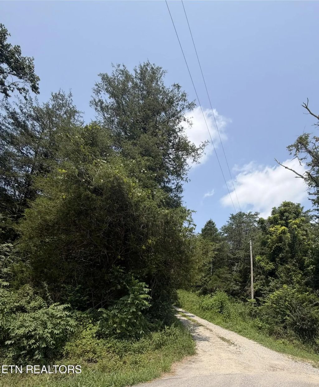 2544 Hinds Creek Rd, Heiskell