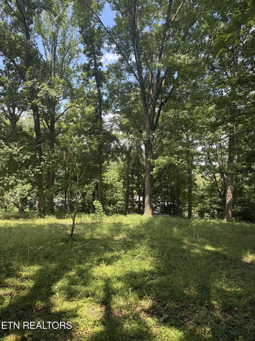 5000 Skyview Drive, Knoxville