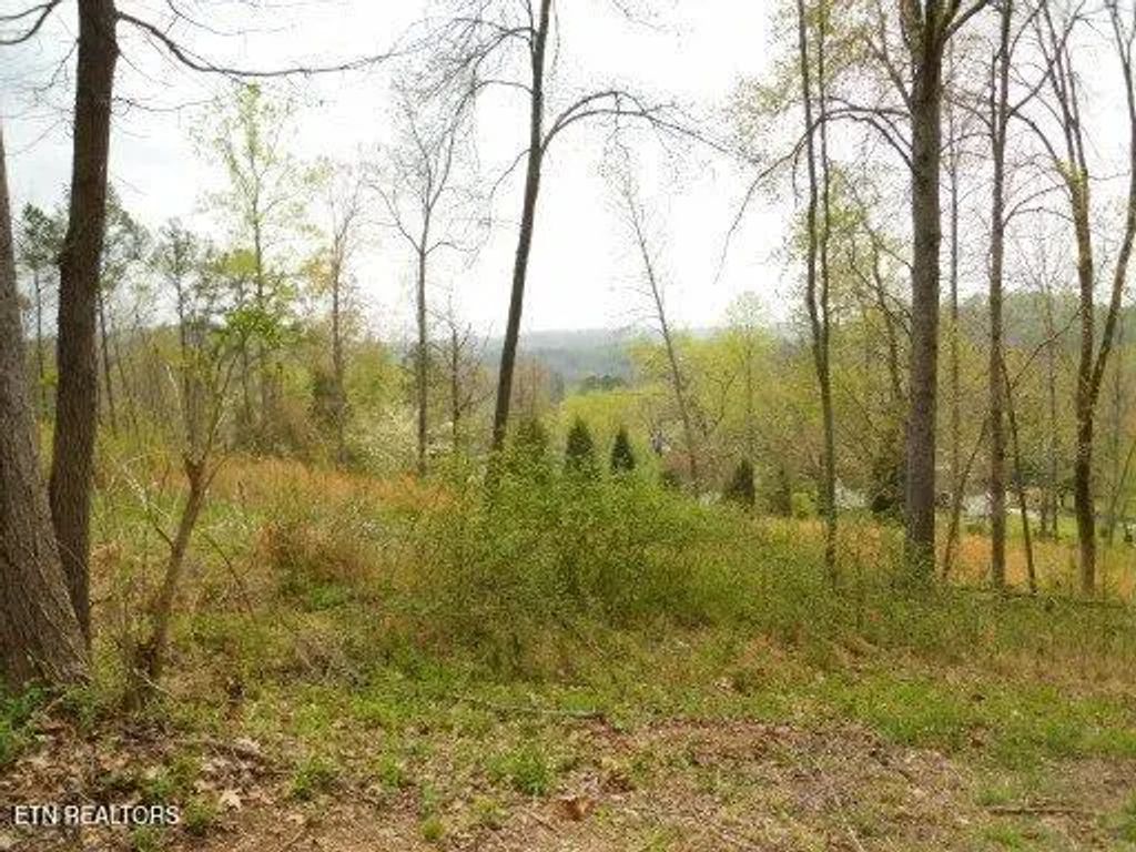 Vann Drive, Harriman
