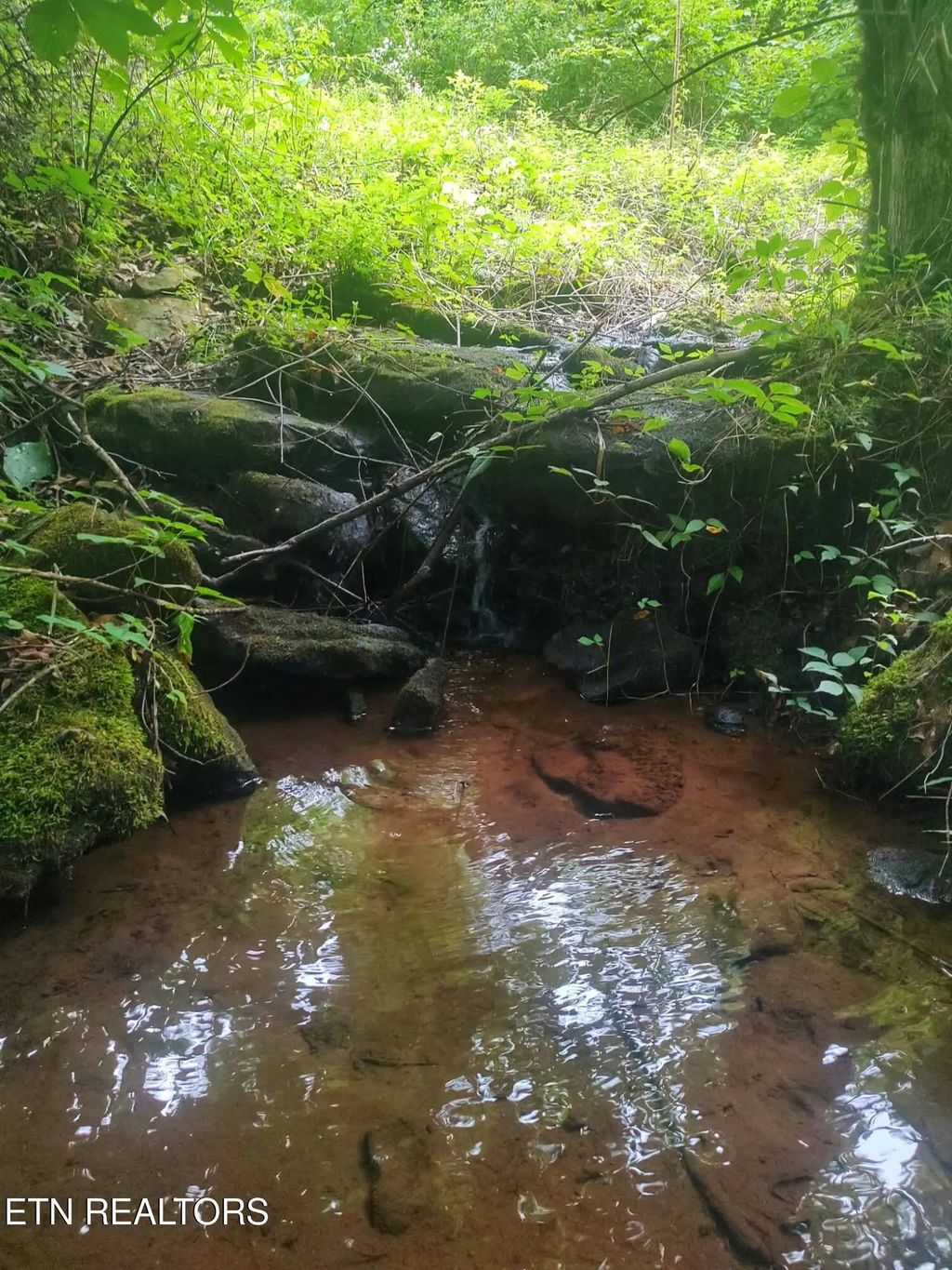 18.5 Acres Raccoon Ridge Rd, Spring City