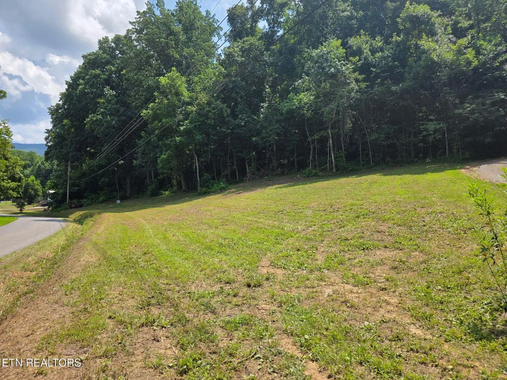 Mcgaha Hollow Rd, Dandridge