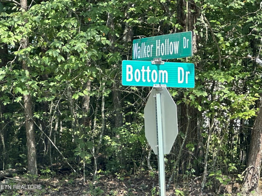 Walker Hollow Drive, Monterey
