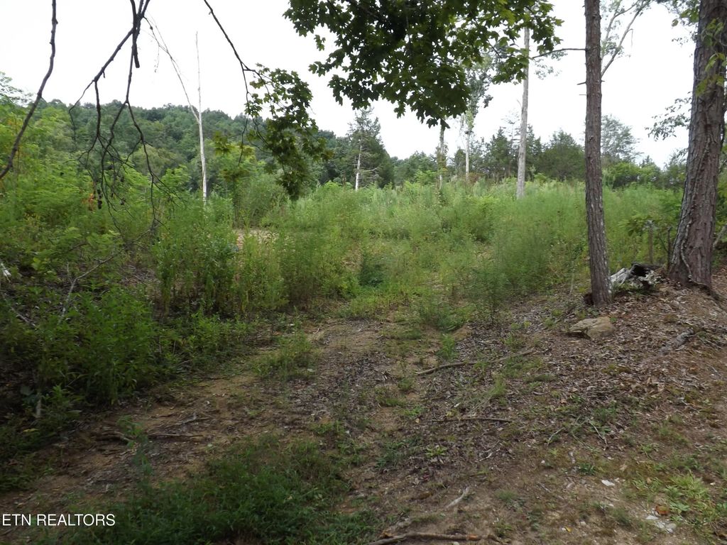 Tbd Roy Thomas Lane, New Tazewell