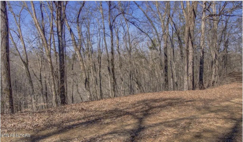 4585 Crooked Creek Way, Maryville