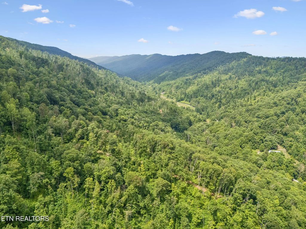 8075 Snake Hollow Rd, Sneedville