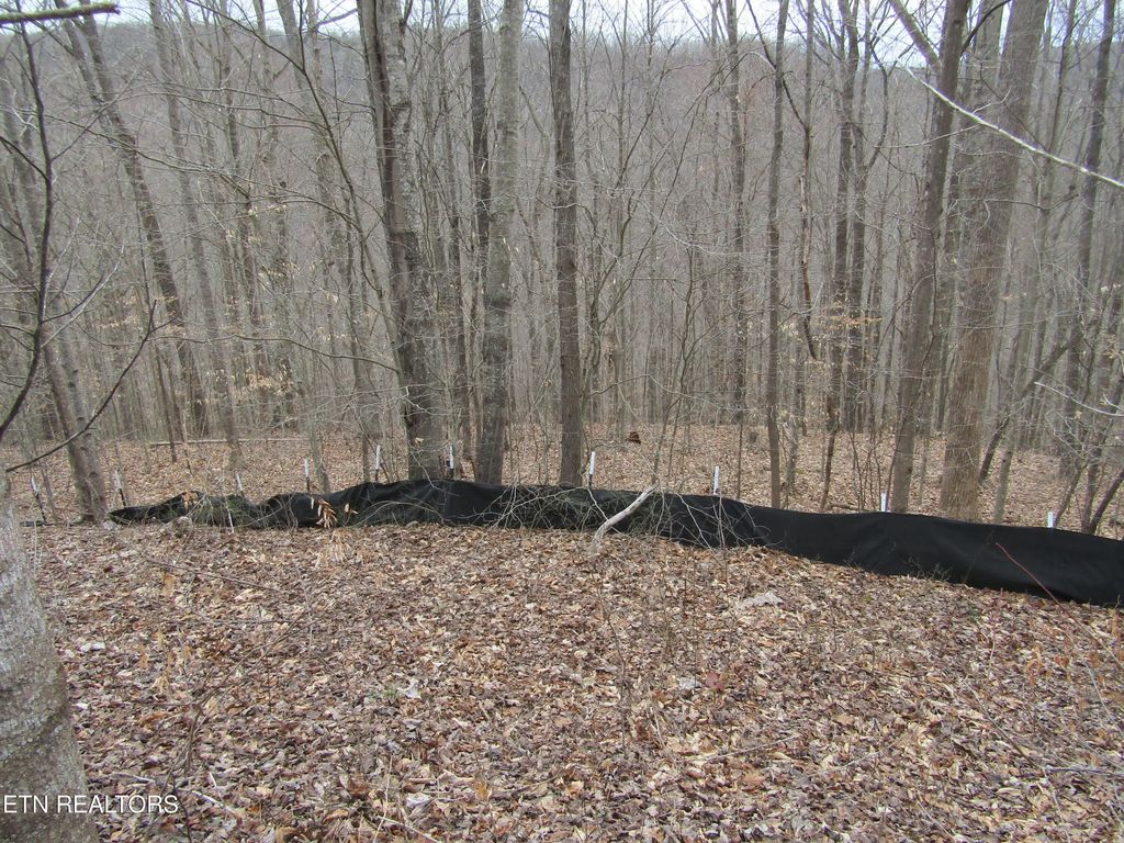 Lot 60 W Bobcat Lane, Wilder