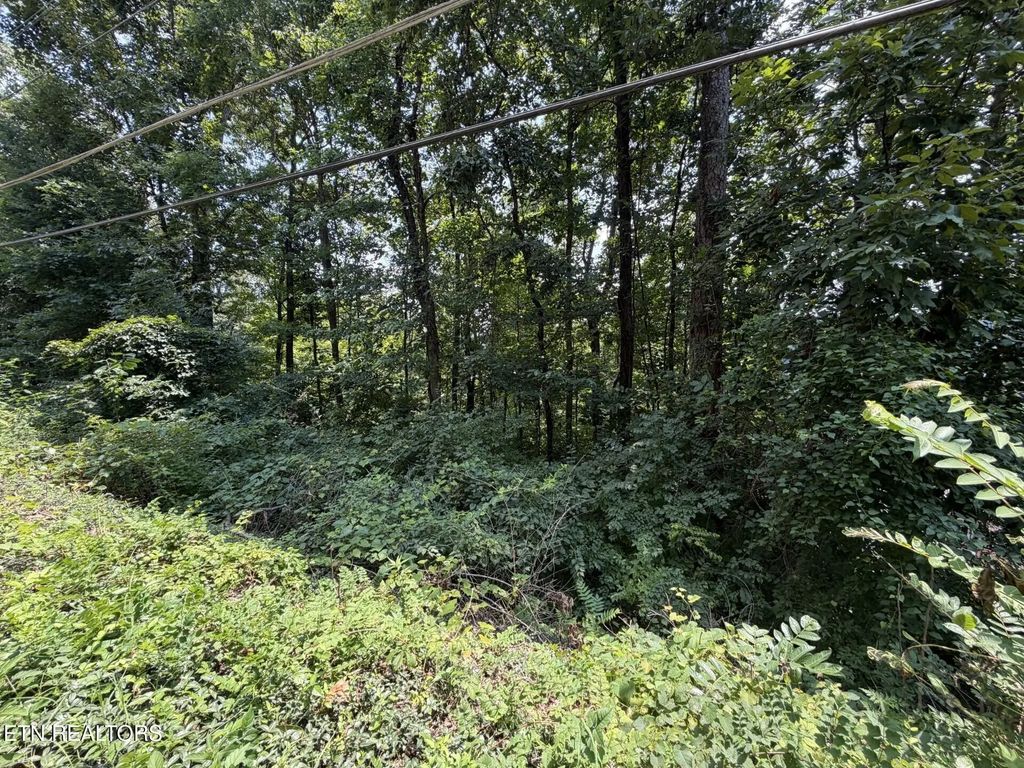 4636 Westover Terrace, Knoxville