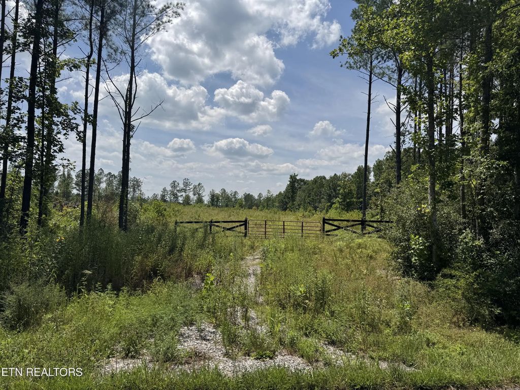 Lot #12 Burrville Rd, Sunbright