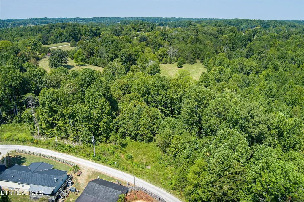 129 Lester Ledbetter Lane, Hilham