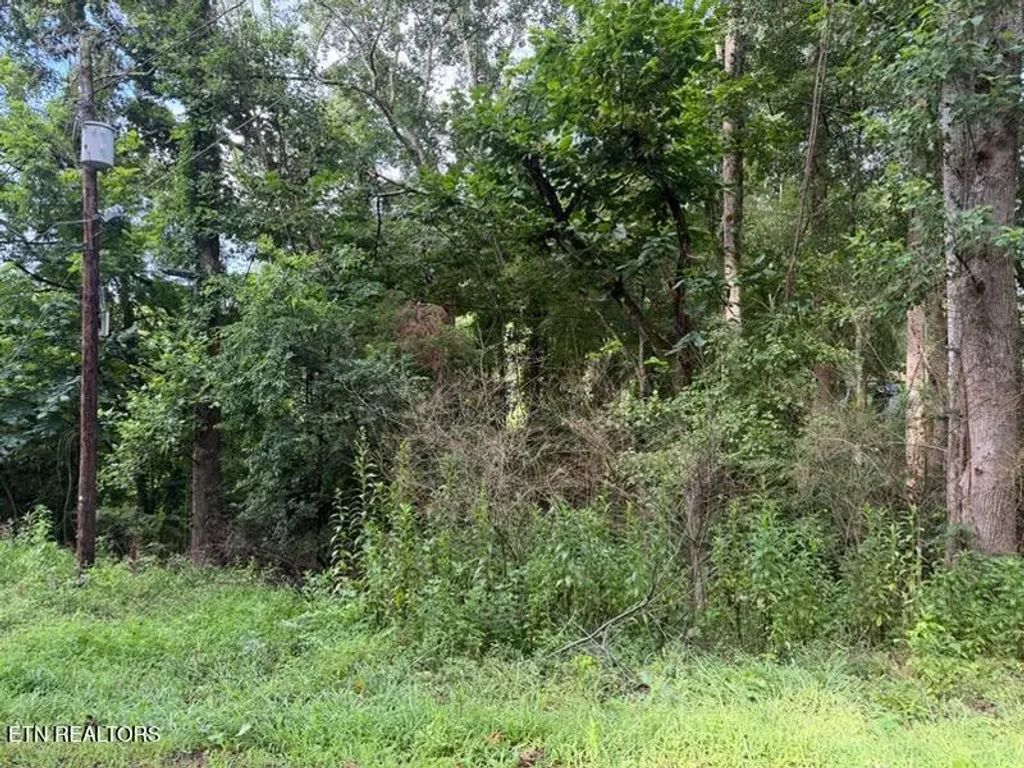 Black Jack Rd, Rockwood