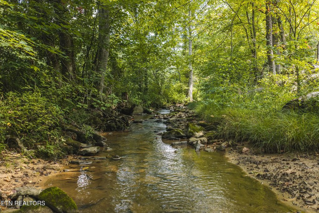 Snake Hollow (162.33 Acres) Rd, Sneedville