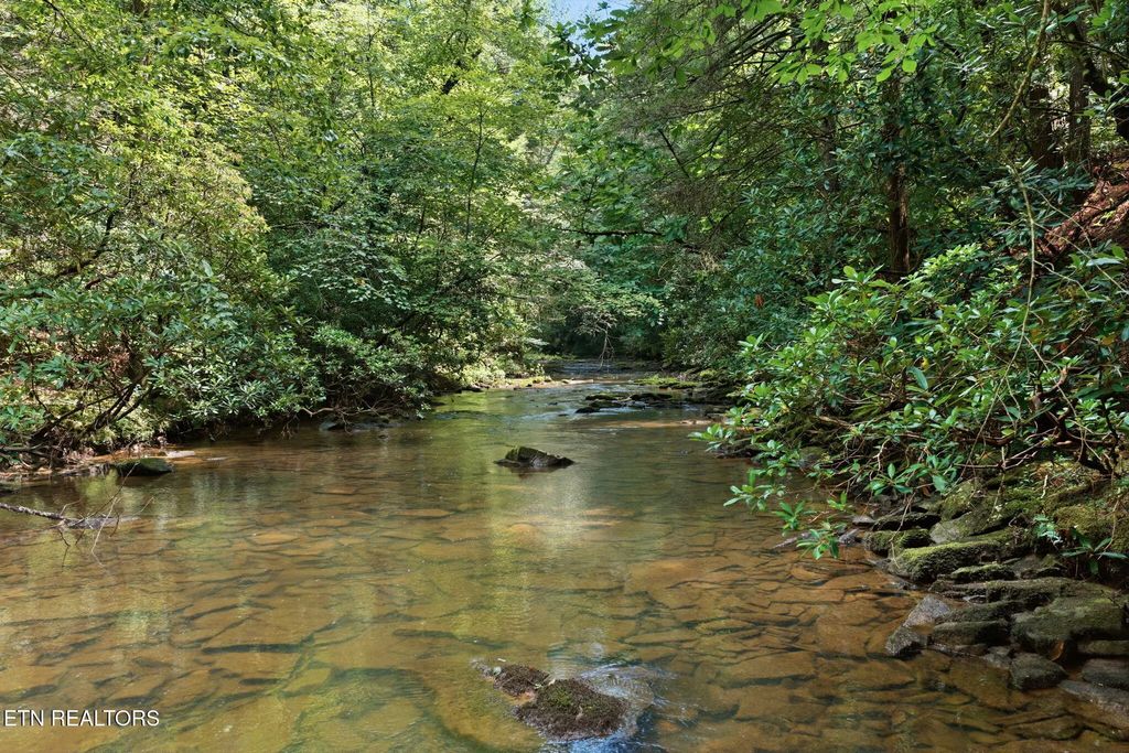 Twin Bridge Rd, Deer Lodge