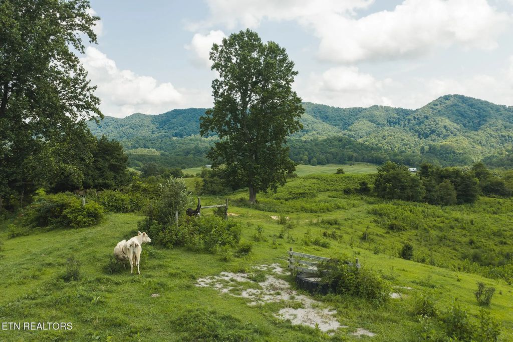 1430 Clinch Valley  (55.55 Acres) Rd, Sneedville