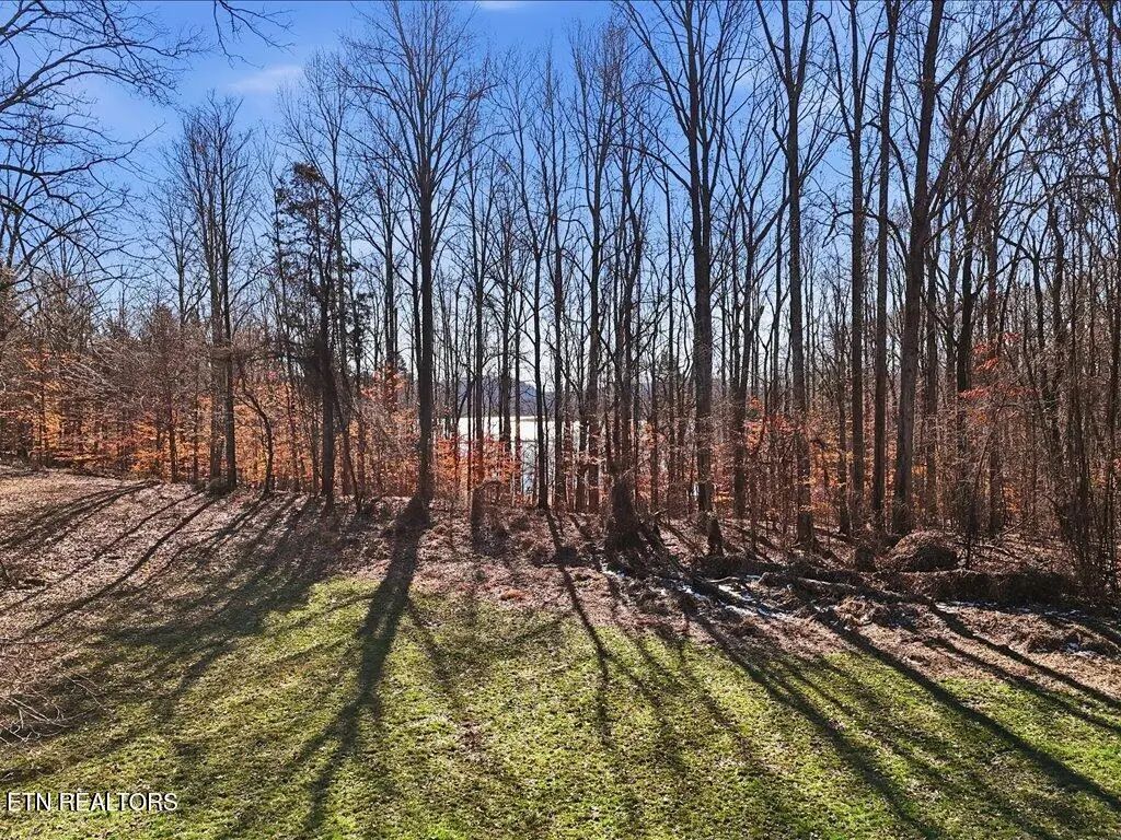 141 Red Cloud Lane, Rutledge