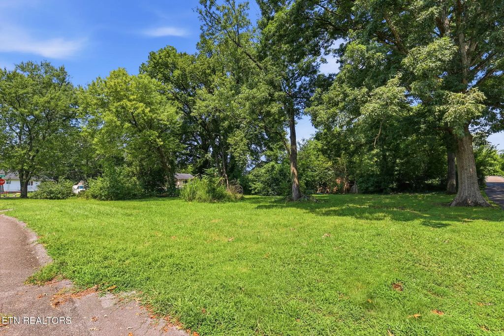2400 Rim St, Knoxville