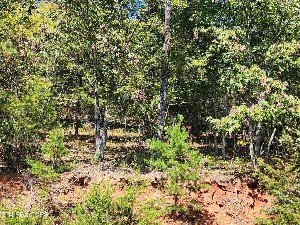 Lot 609 Chimney Rock Rd, New Tazewell