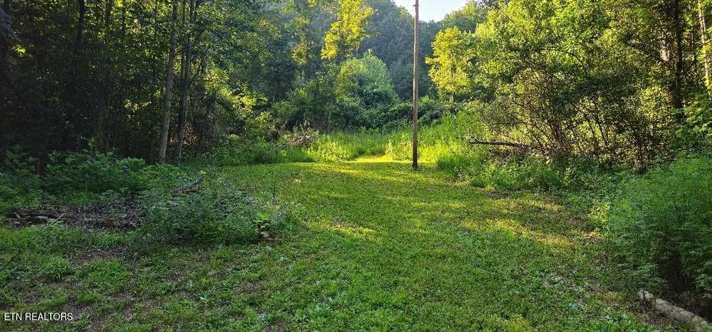 6504 Highway 66, Rogersville