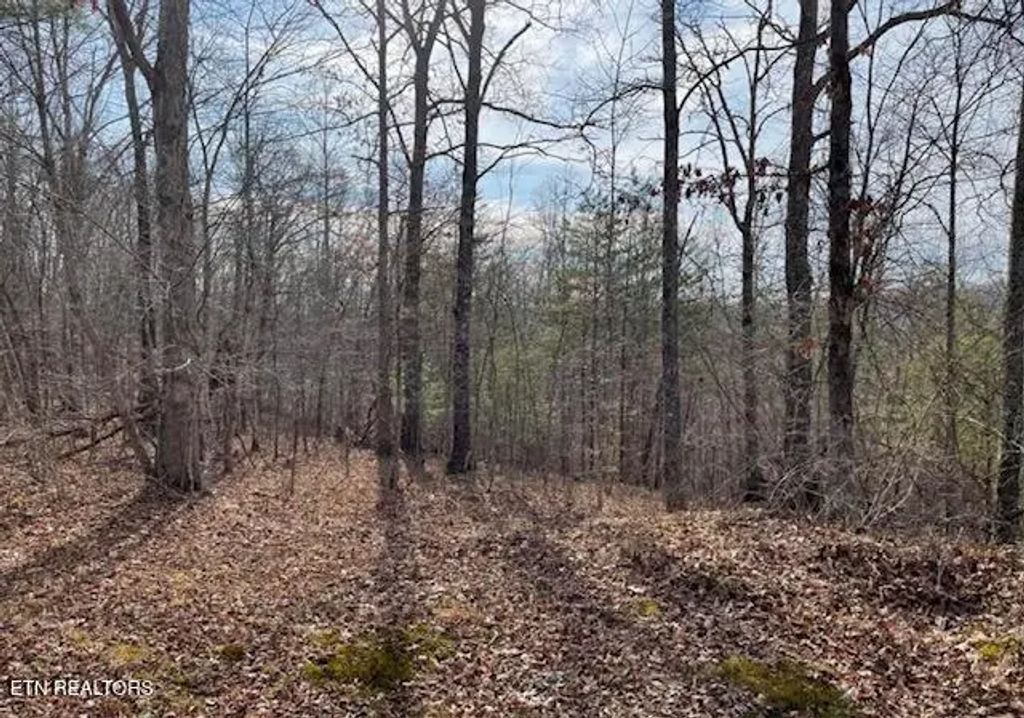 67.86 Ac Junior Cox Rd, Deer Lodge