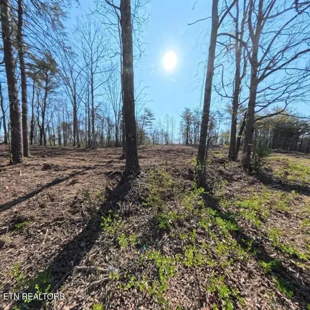 Claysville Road , Lot 5, Crossville