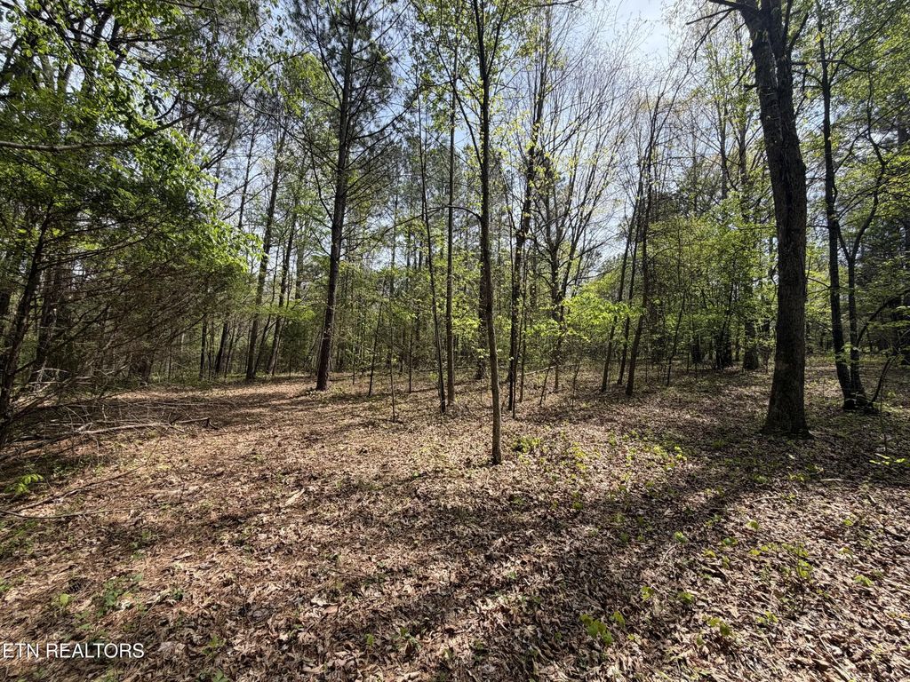 7936 Dry Valley Rd, Loudon