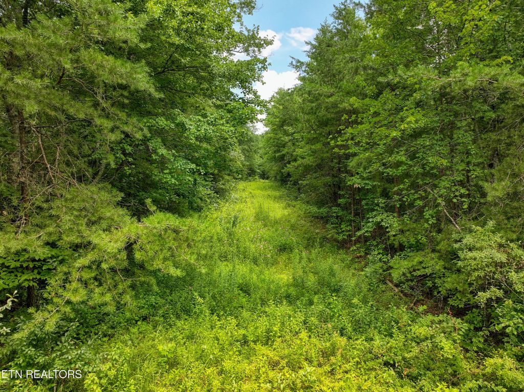52.88 Ac Nashville Hwy, Deer Lodge