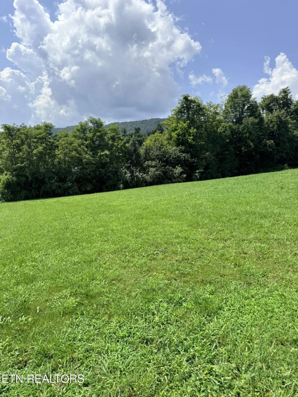 Mountain Perkins Lane, Jacksboro
