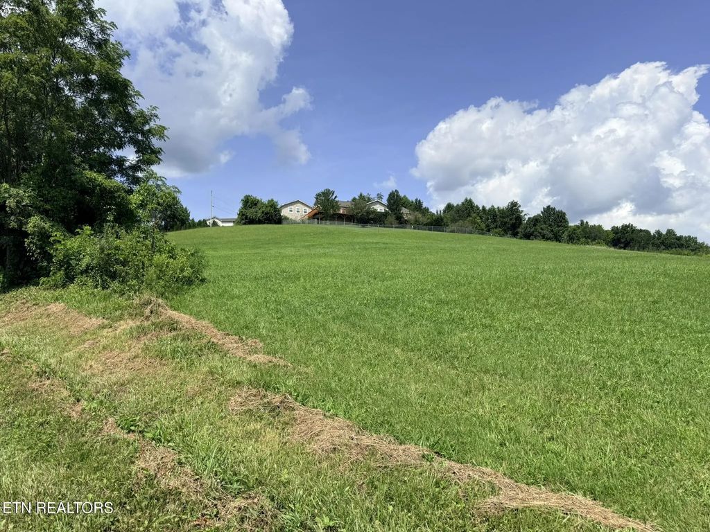 Mountain Perkins Lane, Jacksboro