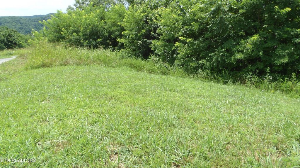 Lot 17d Crappie Lane, Hilham