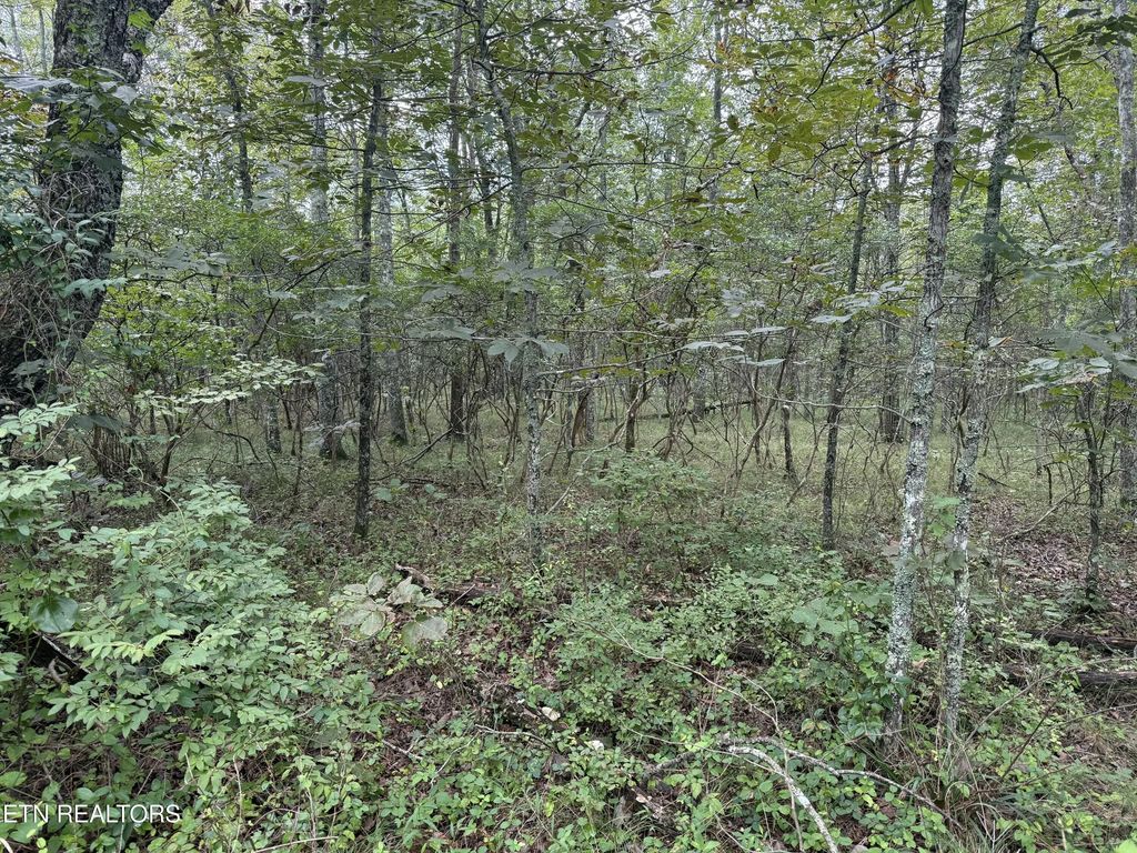 130 Blackburn Drive, Crossville