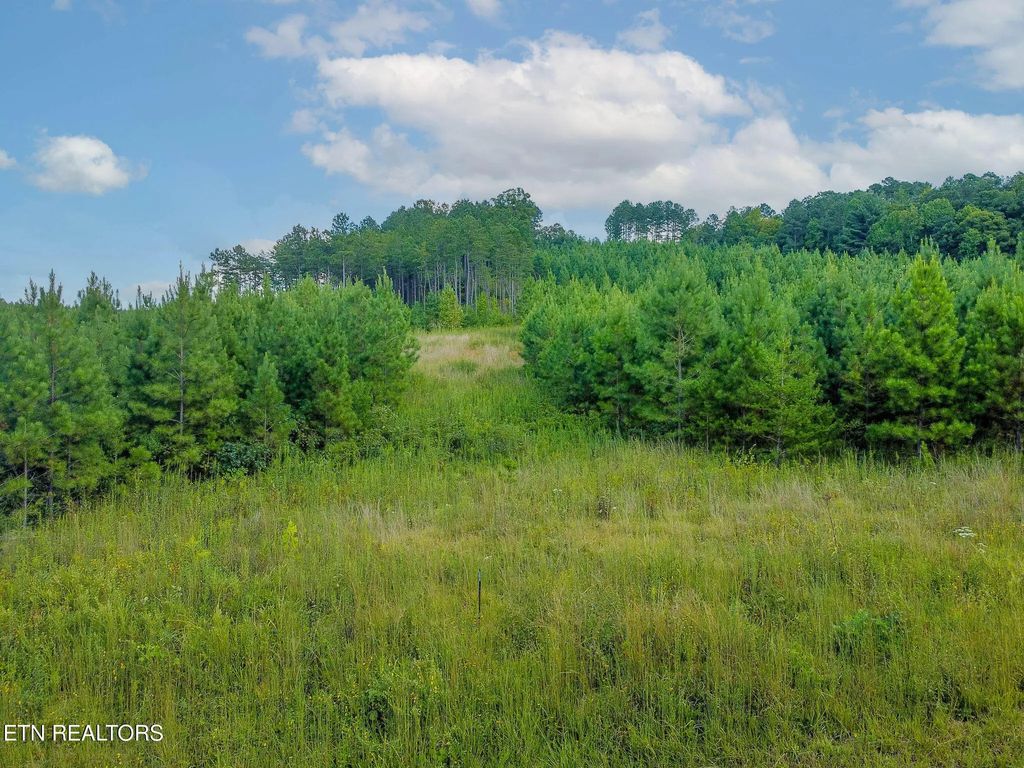 Lot #41 Three Point Rd, Madisonville