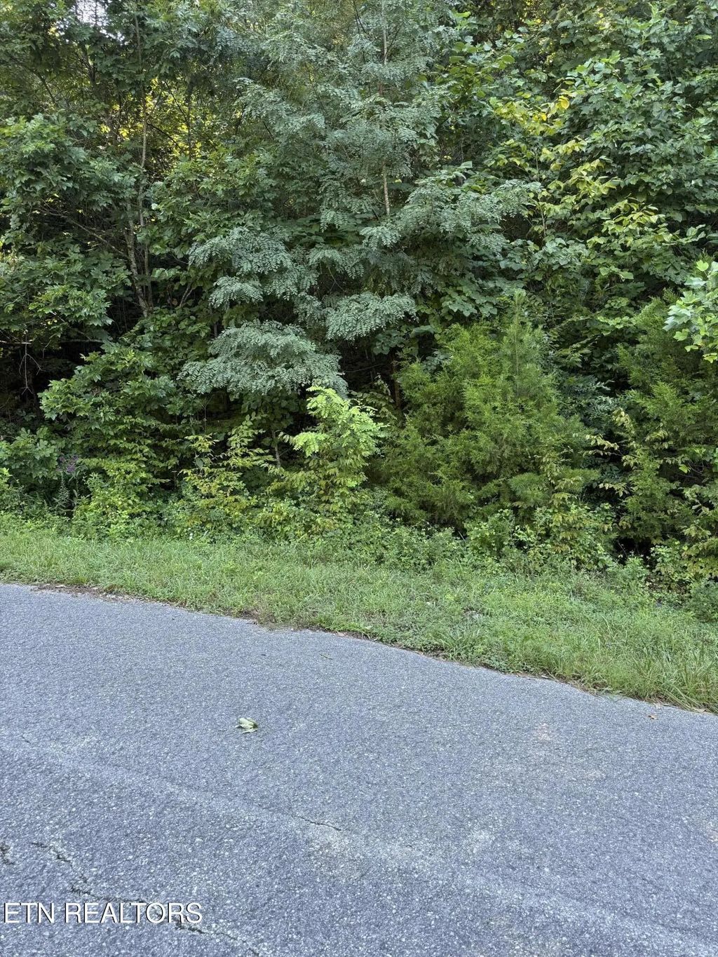 Larayne Hollow Rd, Sharps Chapel