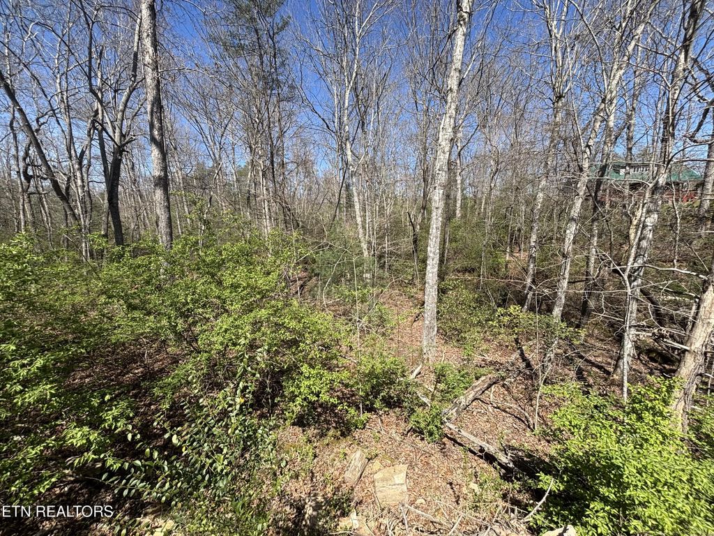5054 Chinook Lane, Crossville