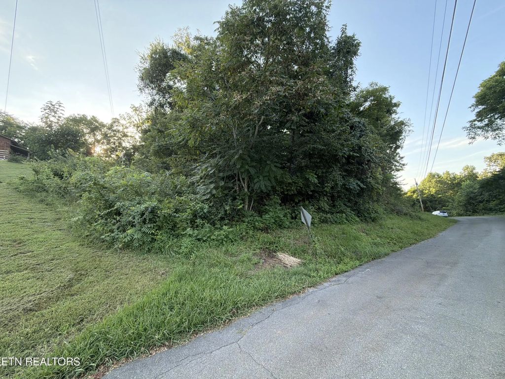 City View Drive, Newport