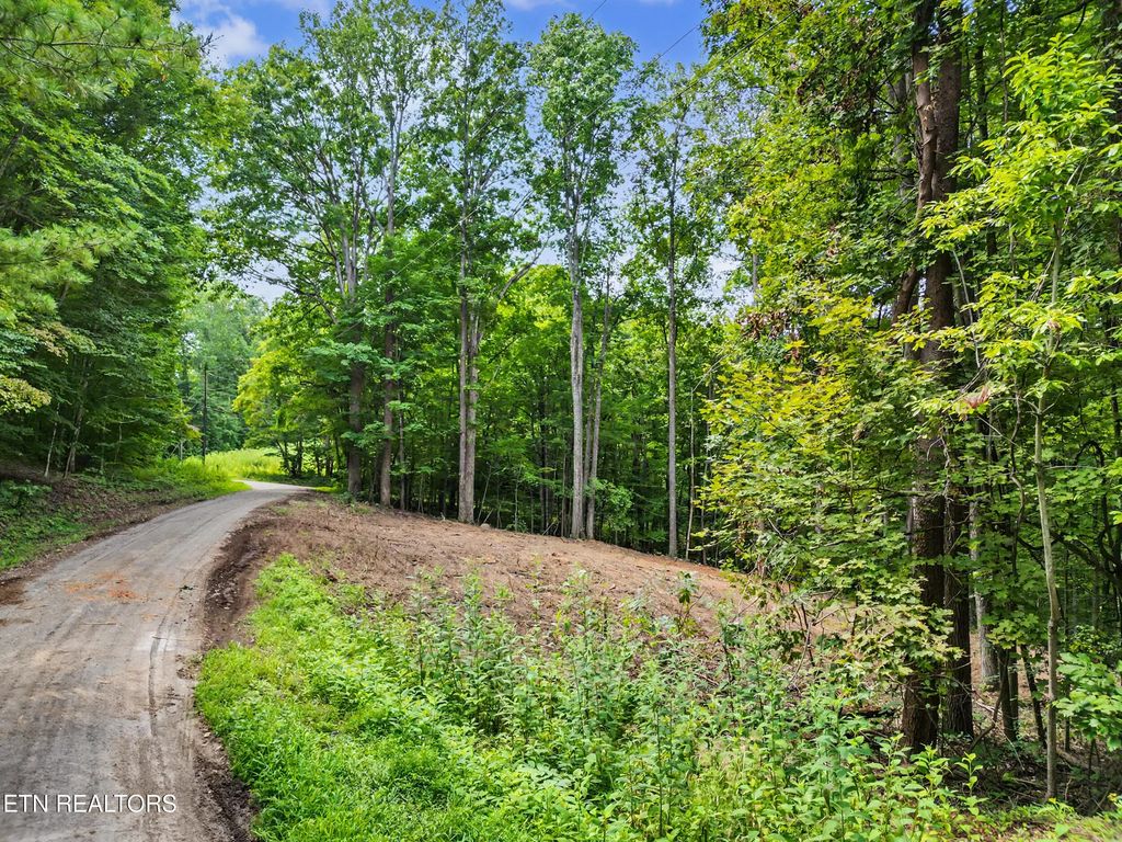 Tumbling Run Estates, Maynardville