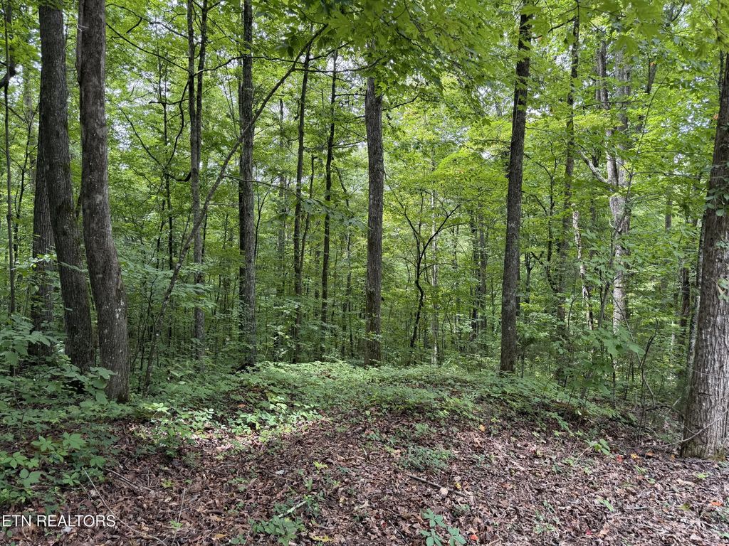 Lot 36 Bass Haven Drive, Sharps Chapel