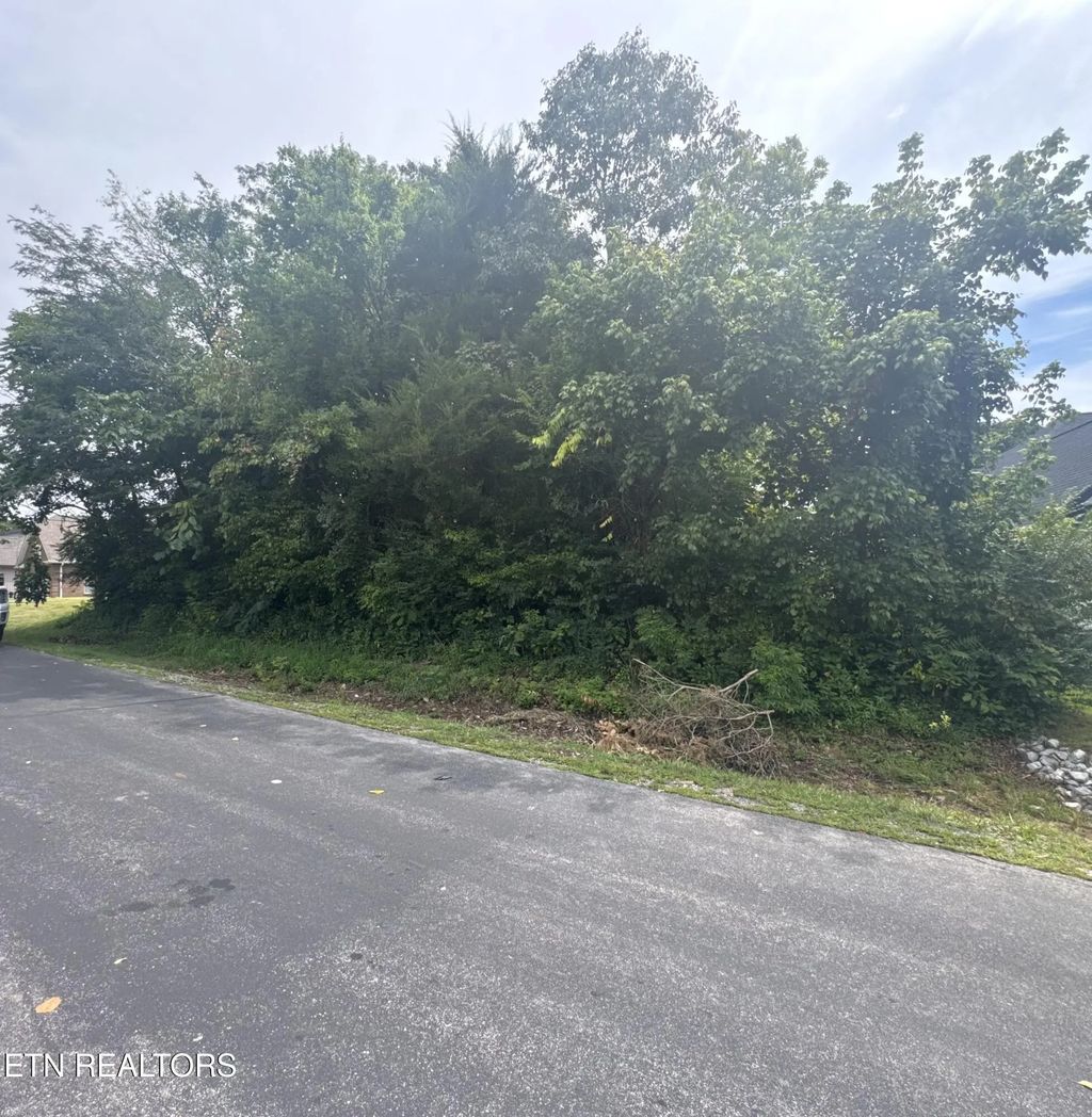 143 Daleyuhski Way, Loudon