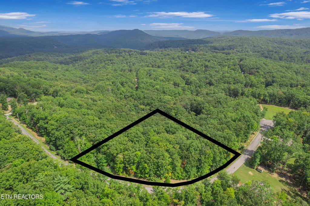 313 Country Wood Place, Harriman