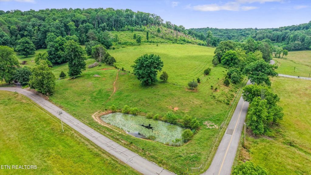 19.2 Acres County Road 50, Riceville