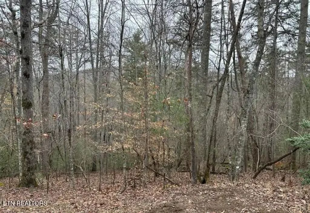 173 Pineridge Loop, Fairfield Glade
