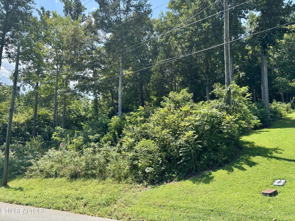 Hickory, Maynardville