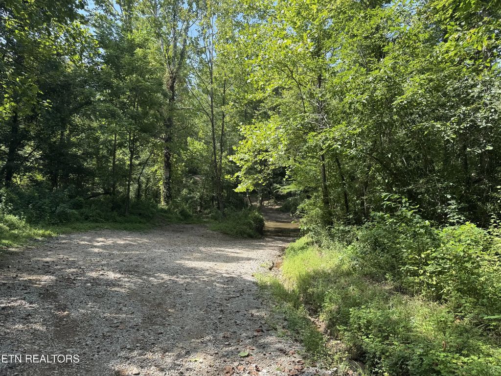 Brimstone Creek, Robbins