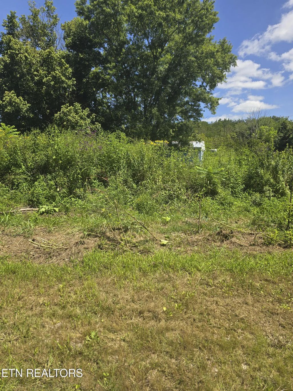 152 & 138 Wilmoth Lane, Washburn
