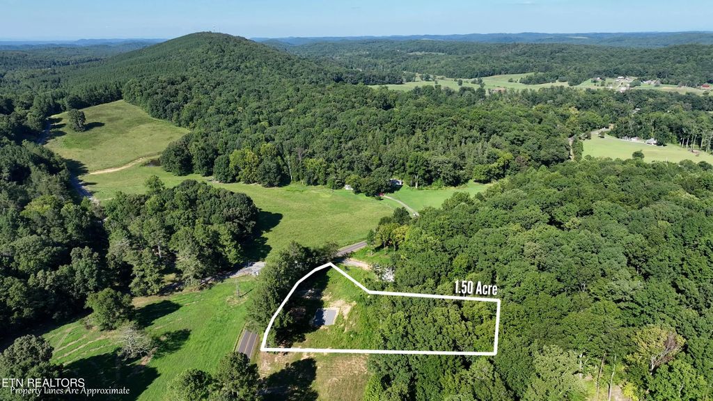 Lot 2 County Road 181, Decatur