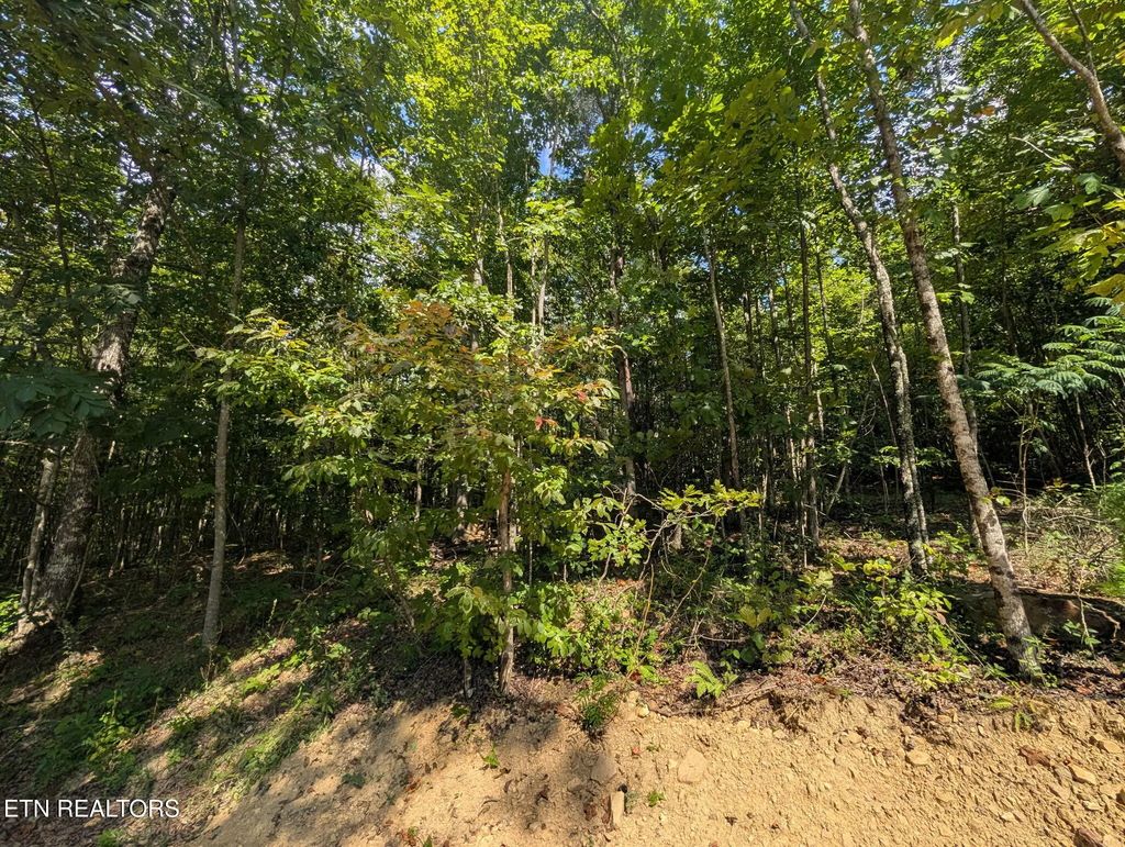Lookout Drive - Lot 63, Crossville