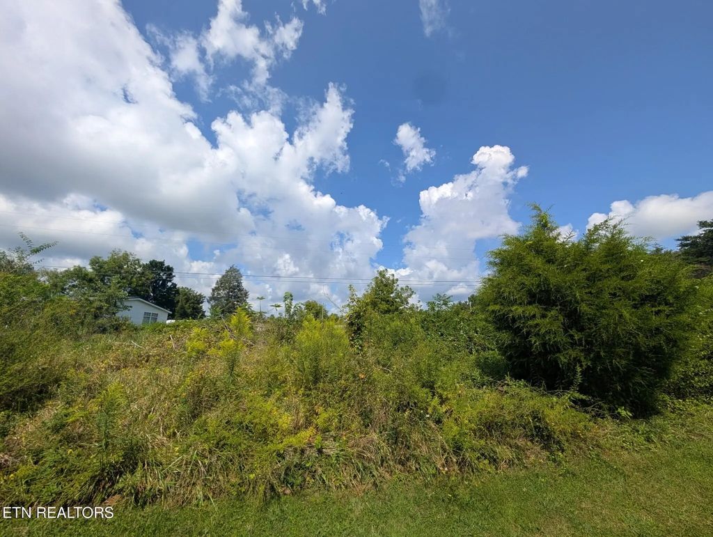 O Camp Drive - Lot 3, Crossville