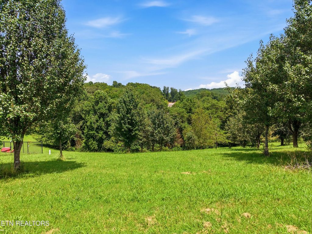 River Cliff Drive, Kodak