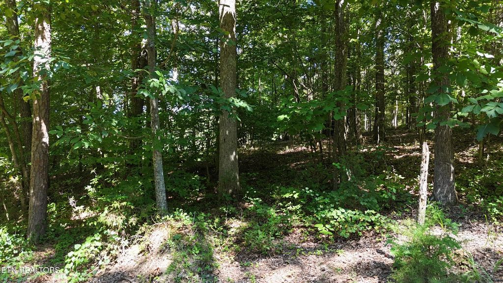 Fezzell Rd, Decatur