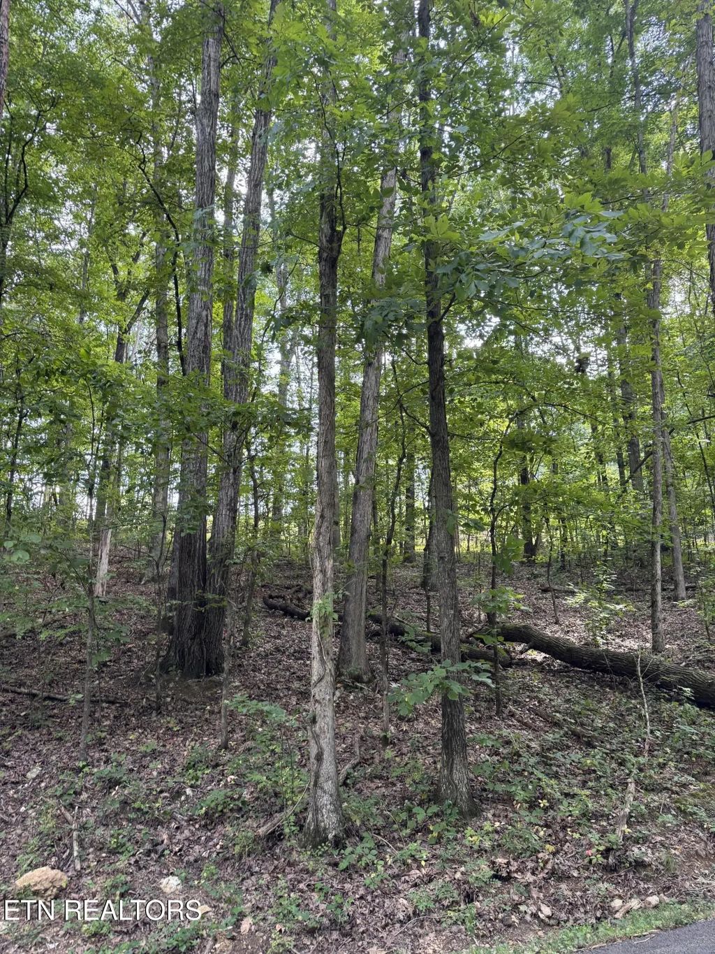 1ac Sunnyside Rd, Philadelphia